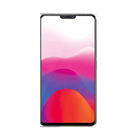 Vivo X21